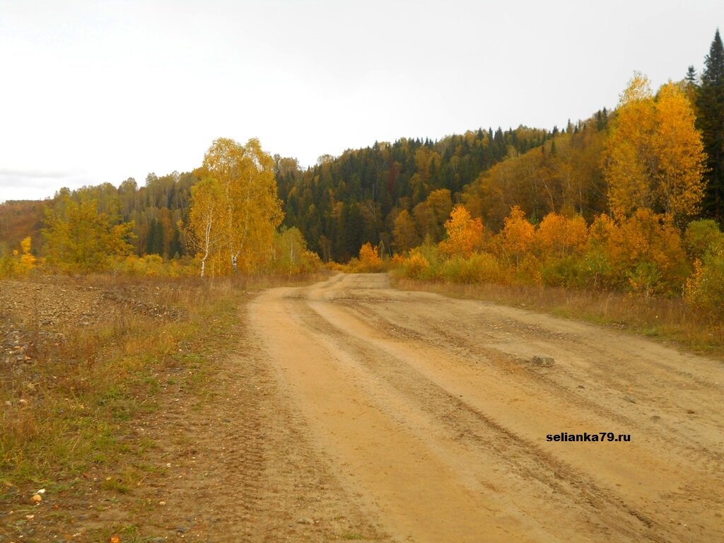 Фото с моего сайта.