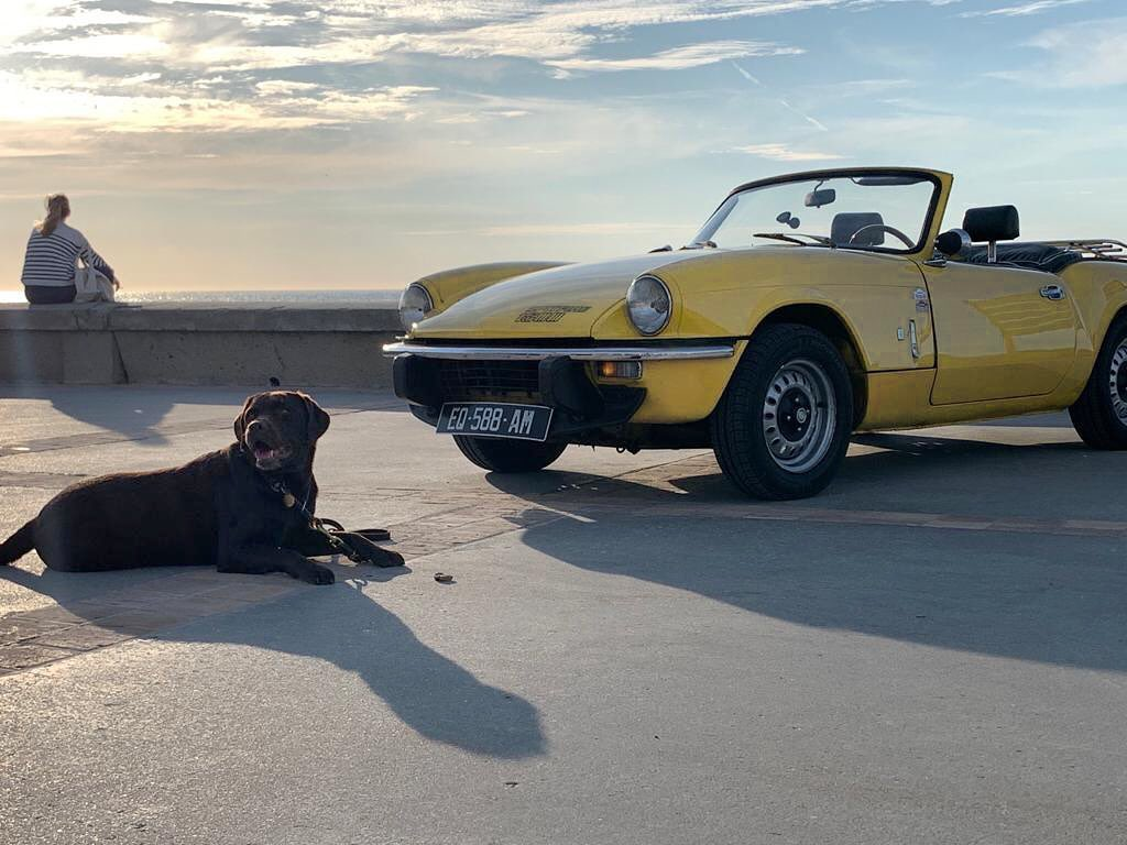 instagram  @x.chucks.x