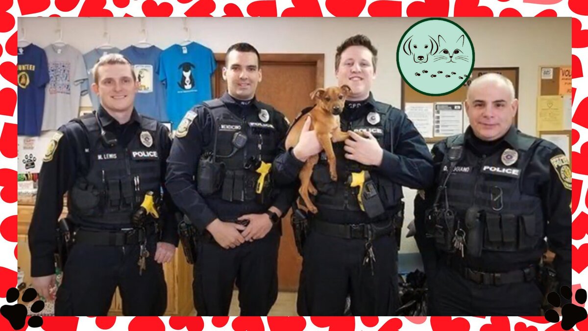 Миранда на этой фотографии уже поправилась