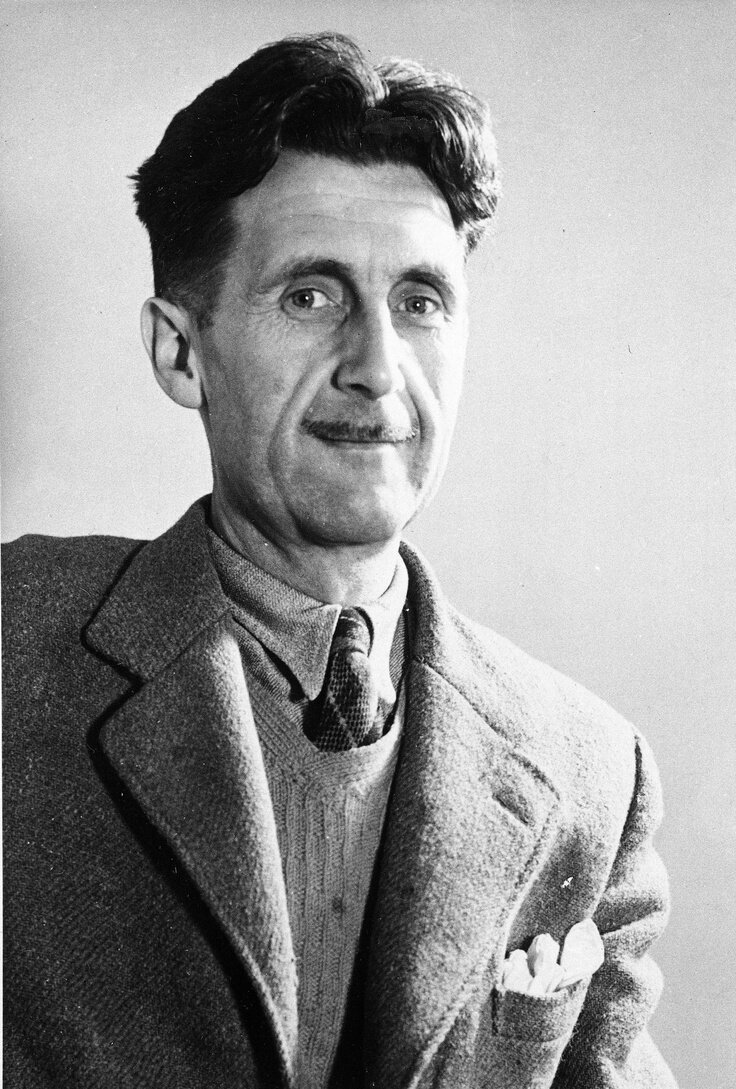 https://i.pinimg.com/736x/48/9b/d1/489bd1853121d4cfa2099f7c6af1cc29--george-orwell-a-thing.jpg