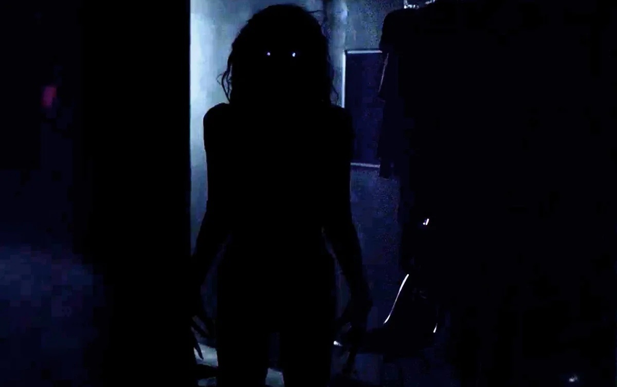 фото из свободных источников.