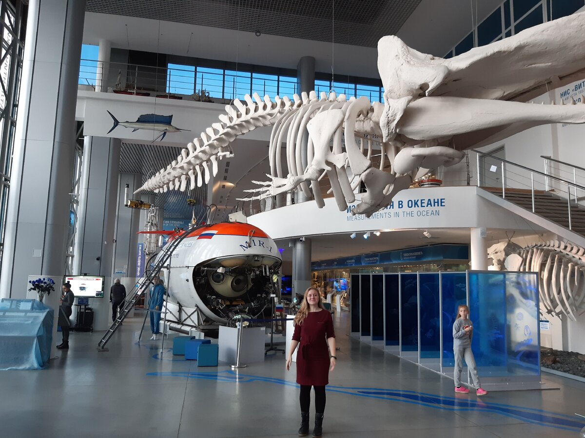 Калининград. Музей Мирового океана. Ноябрь 2019