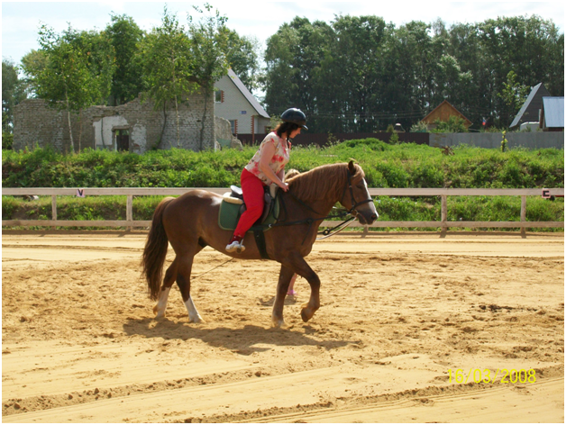 фото из личных архивов автора. Конно - спортивный клуб. Александров.