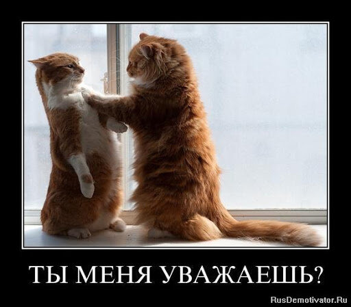 Фото с сайта RusDemotivator.Ru