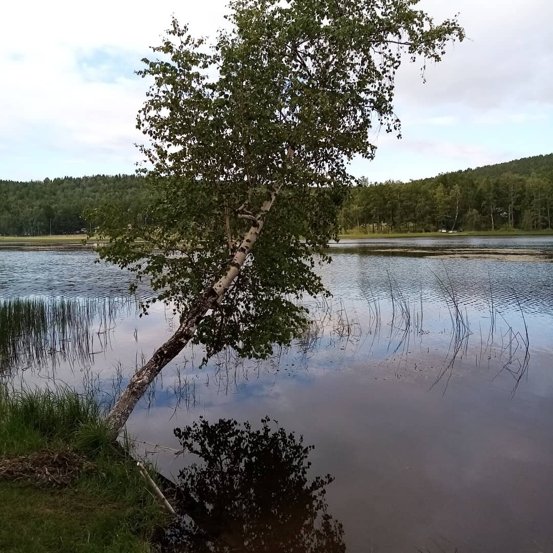 Оз Баланкуль Хакасия