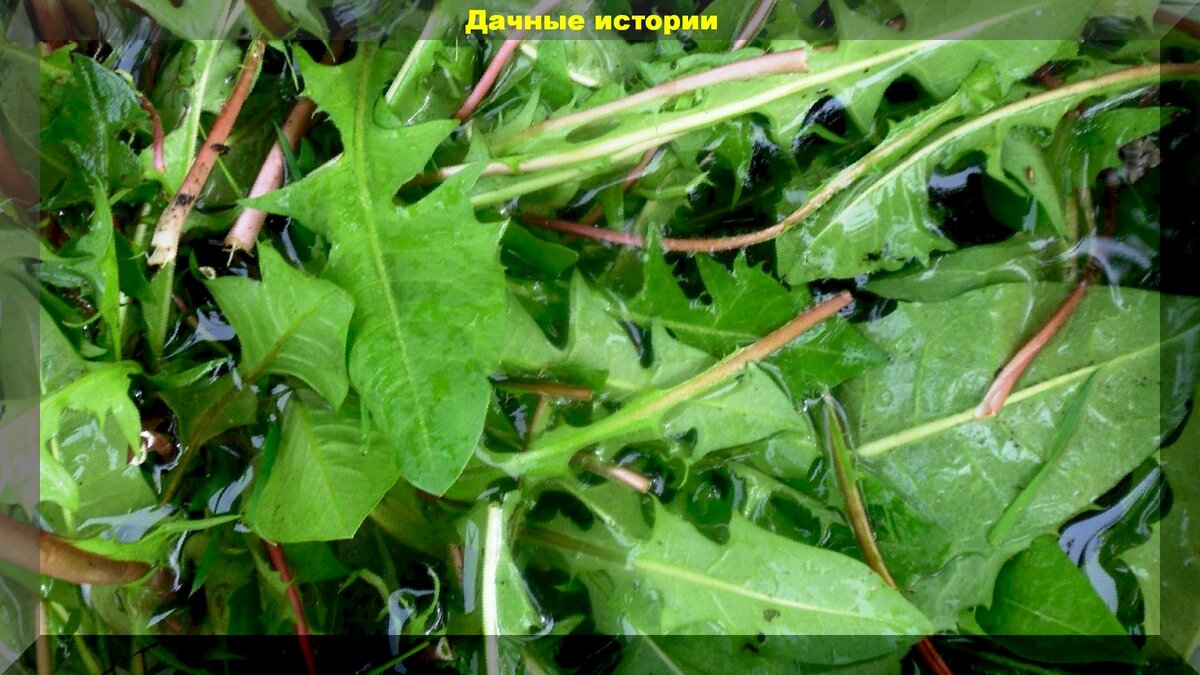 https://vk.com/photo-159774511_457244121