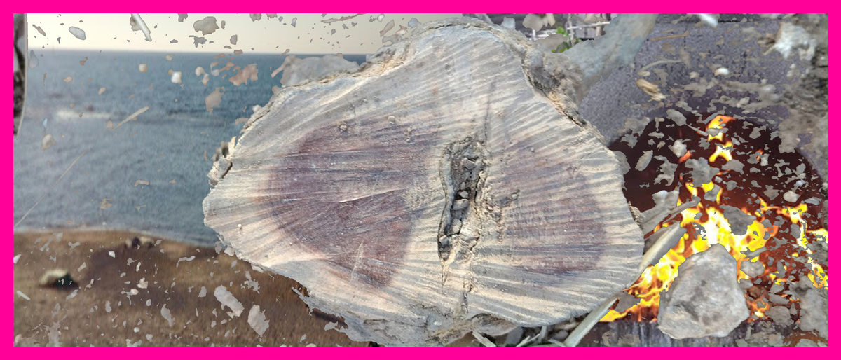 Строение нашего Тонкого Тела