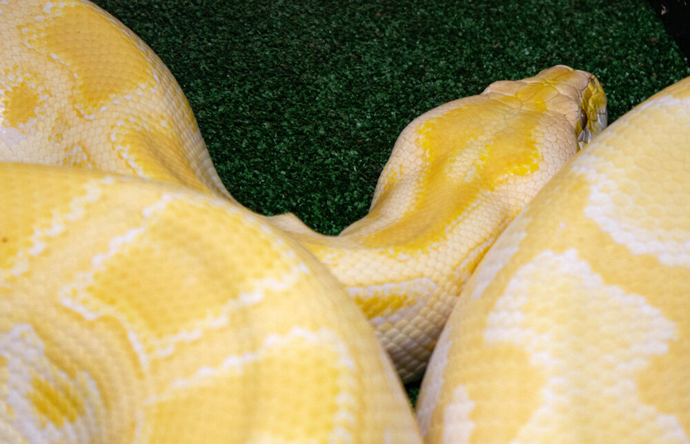 Фото из личного архива