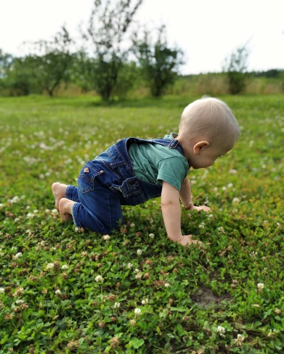 На травке отпускаю в свободное путешествие.