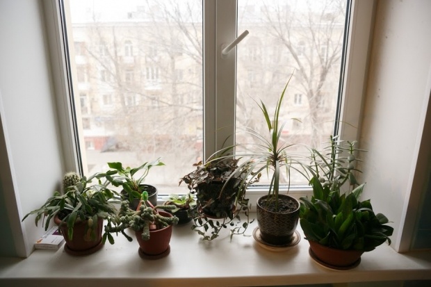 © Фото: ИД «Волгоградская правда»