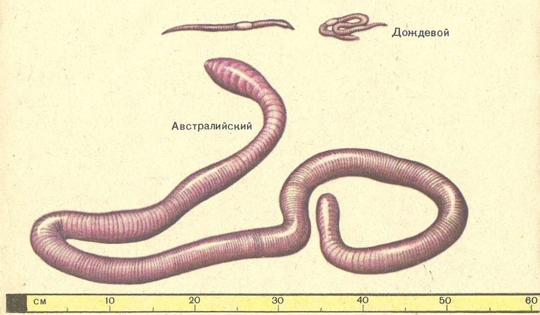Когда ты 180 см, а твои друзья 179 см.