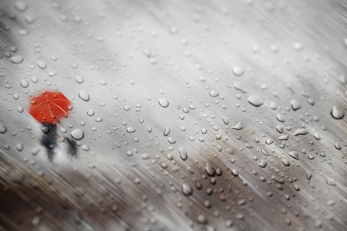 В каждой шутке - доля шутки.