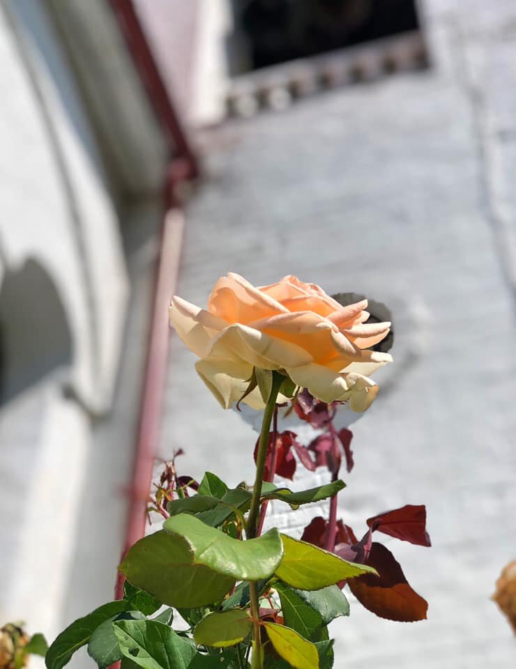 Фото Евсеенко Евгении