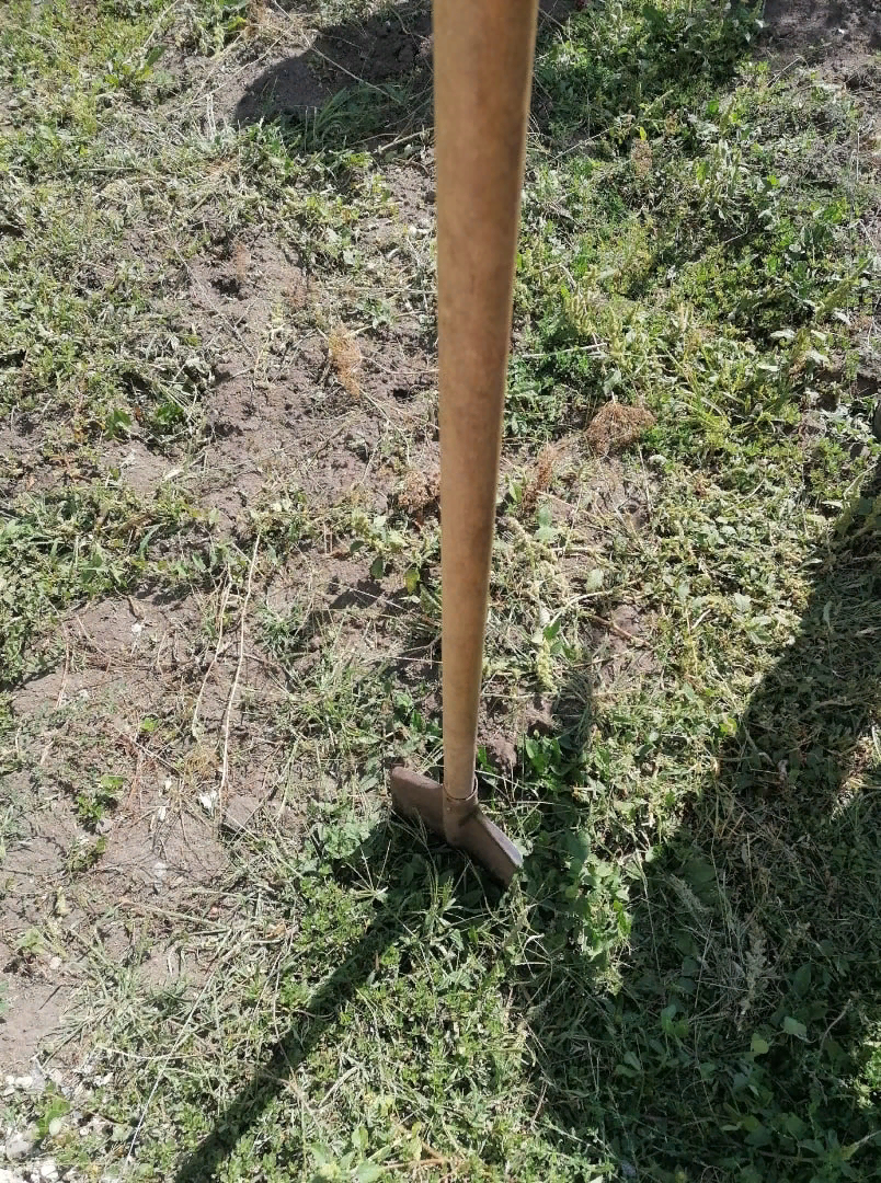 Вы сами роете себе могилу. И с каждым новым глотком всё глубже.