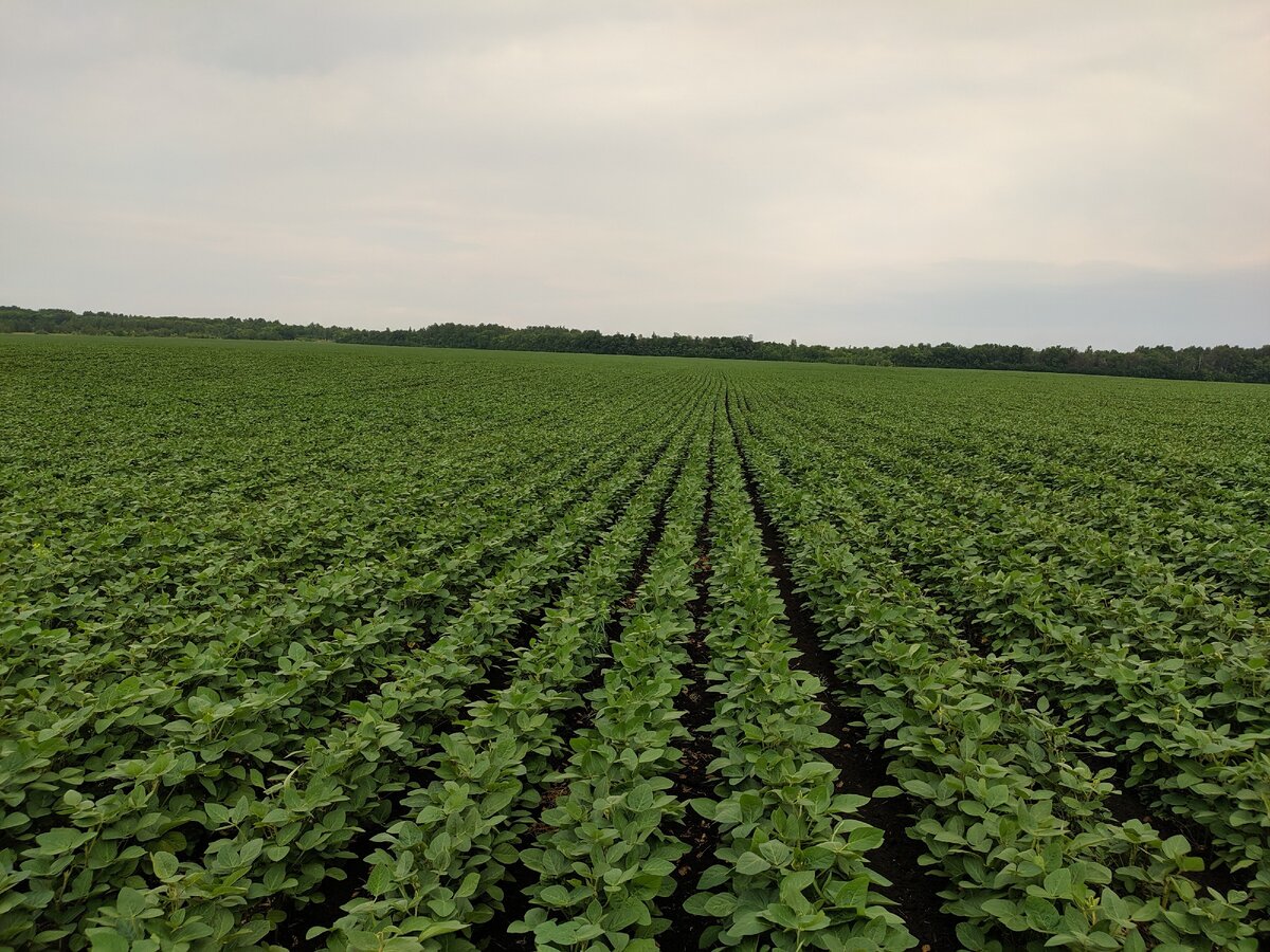 Перейти на страницу с картинкой