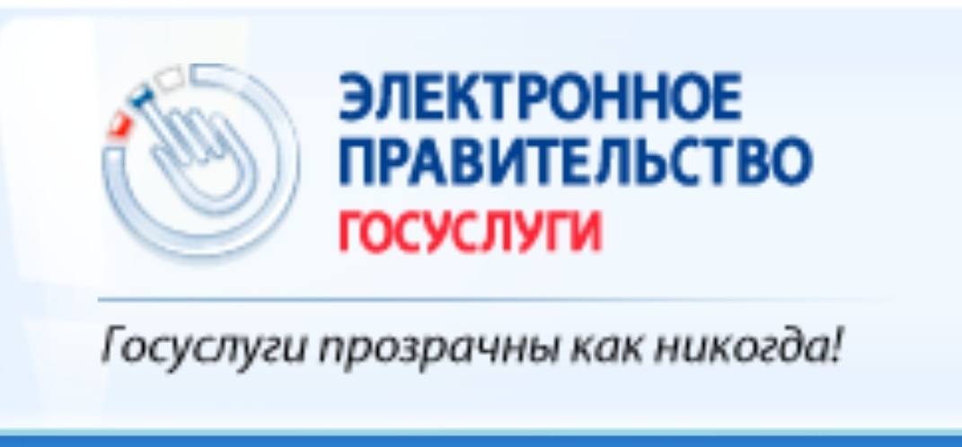 Логотип электронного правительства РФ, не подвергался изменению, взят с сайта госуслуг
