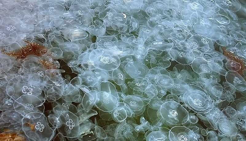 Фото: «КП-Крым»