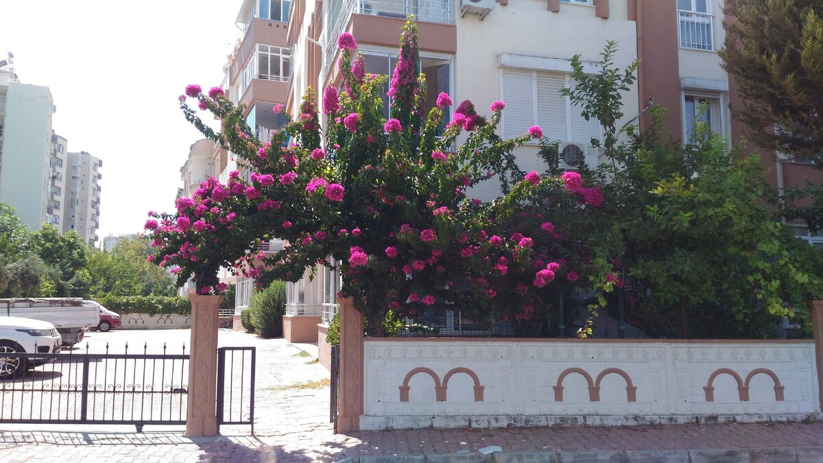 4-х этажный дом