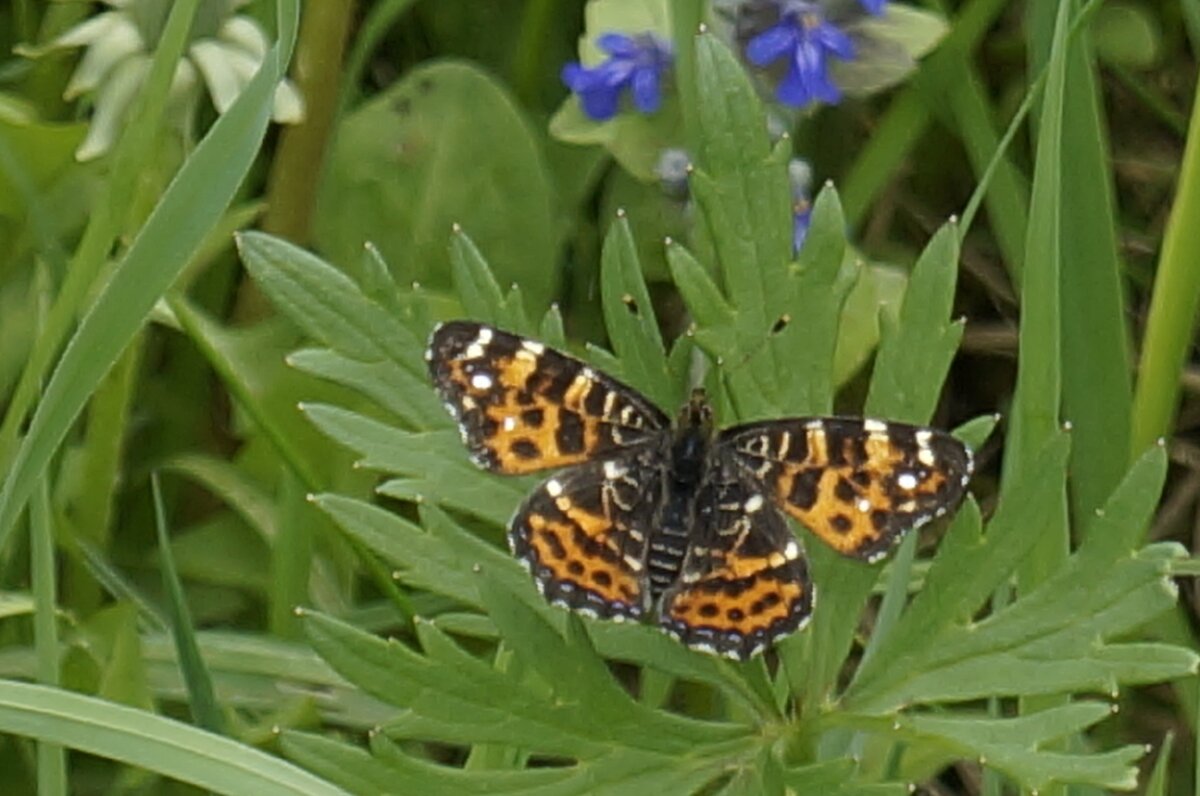 Счастье на вкус