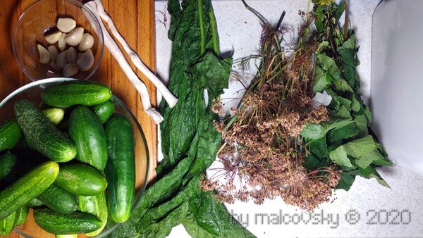 Ингредиенты для засолки огурцов