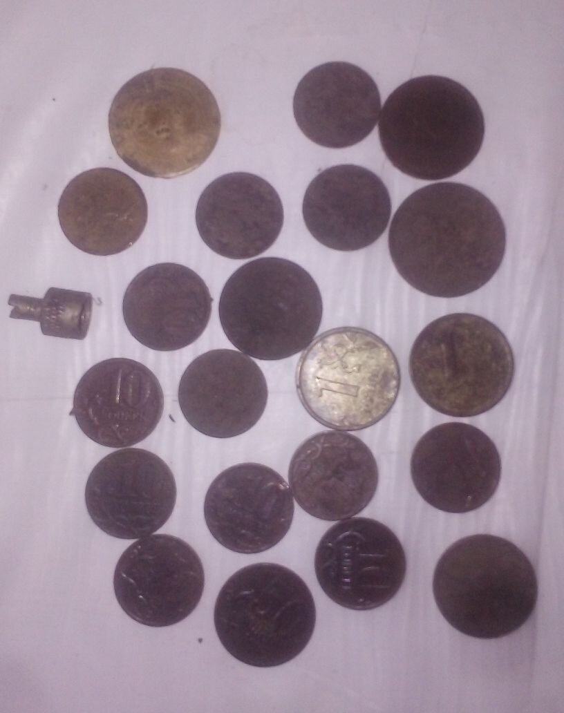 Фото автора.