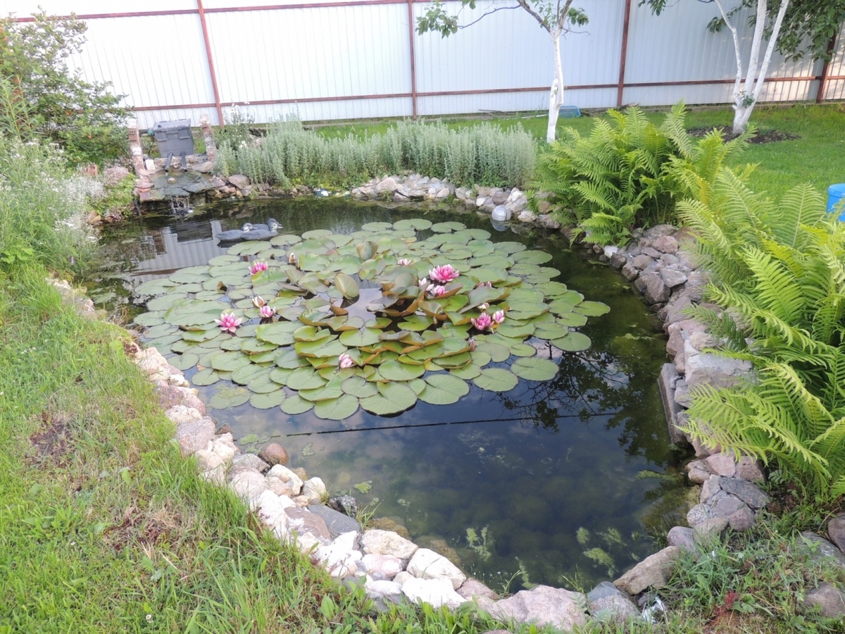 источник интернет:  http://nedks.pro.bkn.ru/images/z_big/e28b72a0-7d02-11e7-b300-448a5bd44c07.jpg