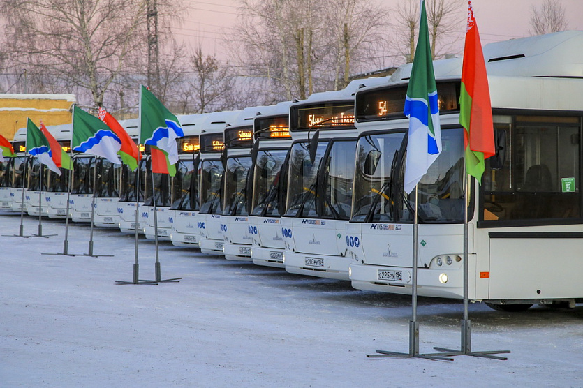 Фото: Павел Комаров, nsknews.info