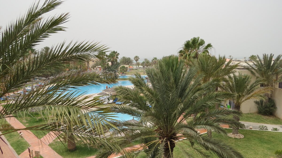 Вид с балкона Тамары