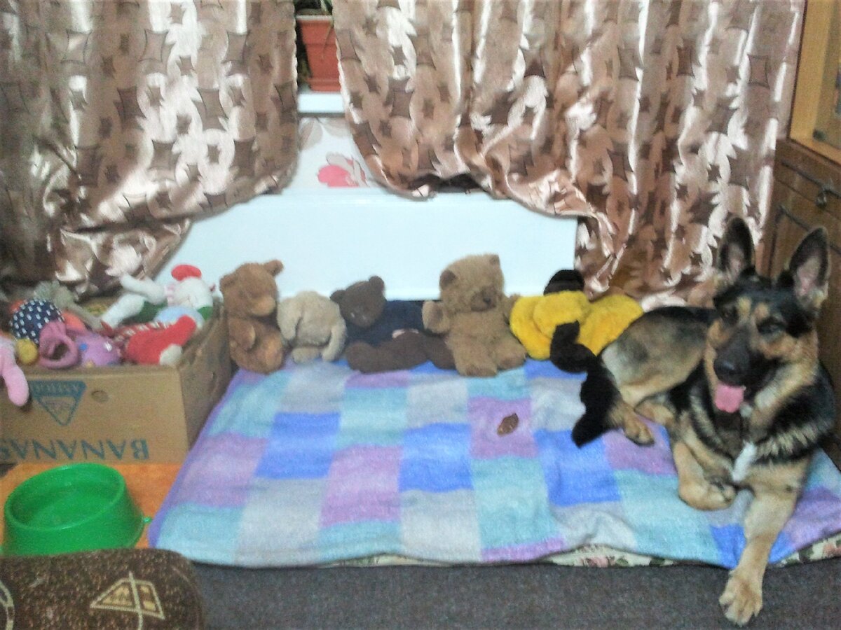 Кейси на своём месте