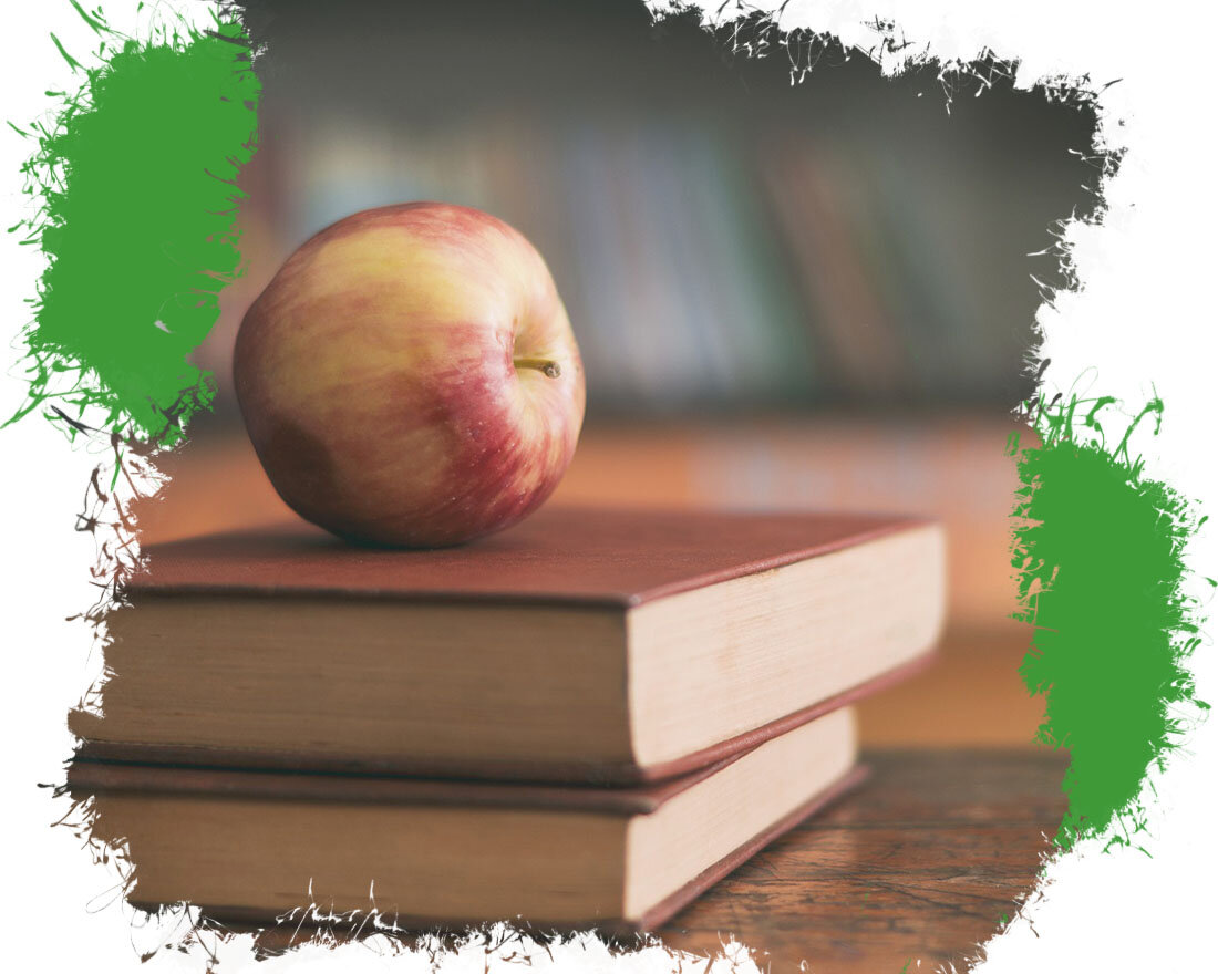 1. Image by Okan AKGÜL from Pixabay 