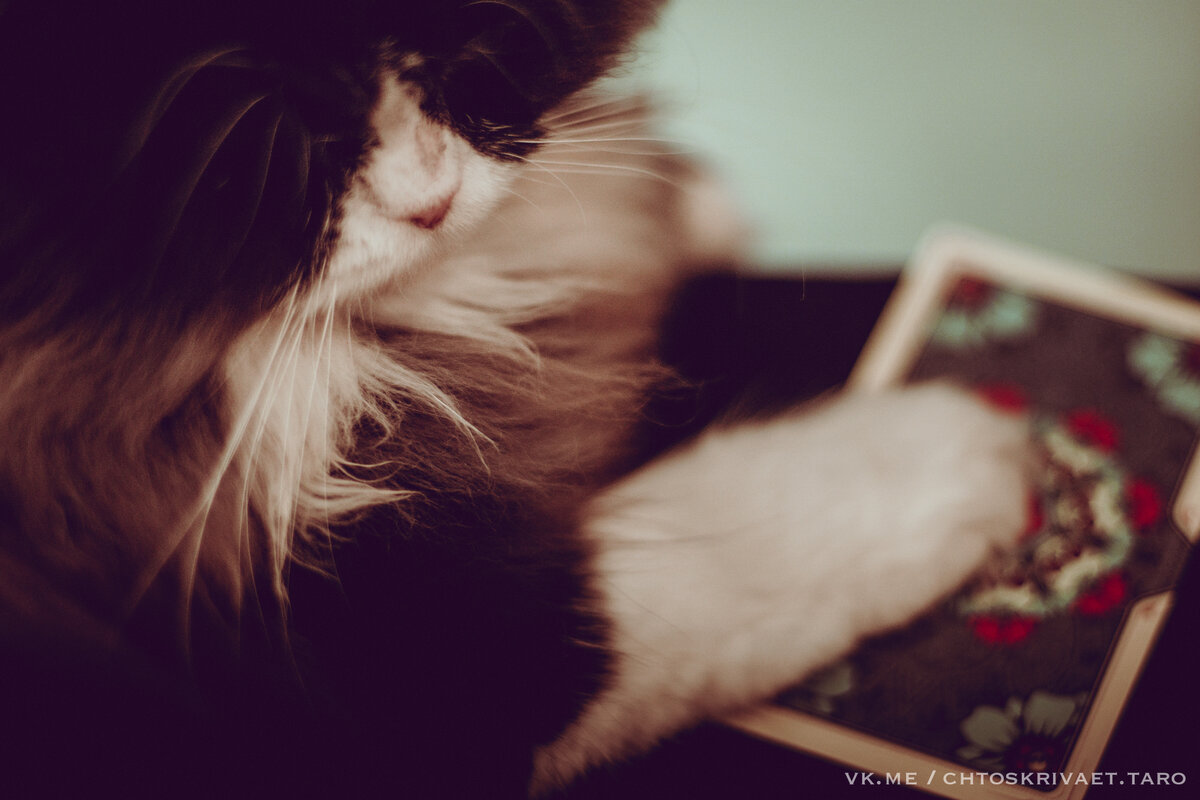 личный помощник 