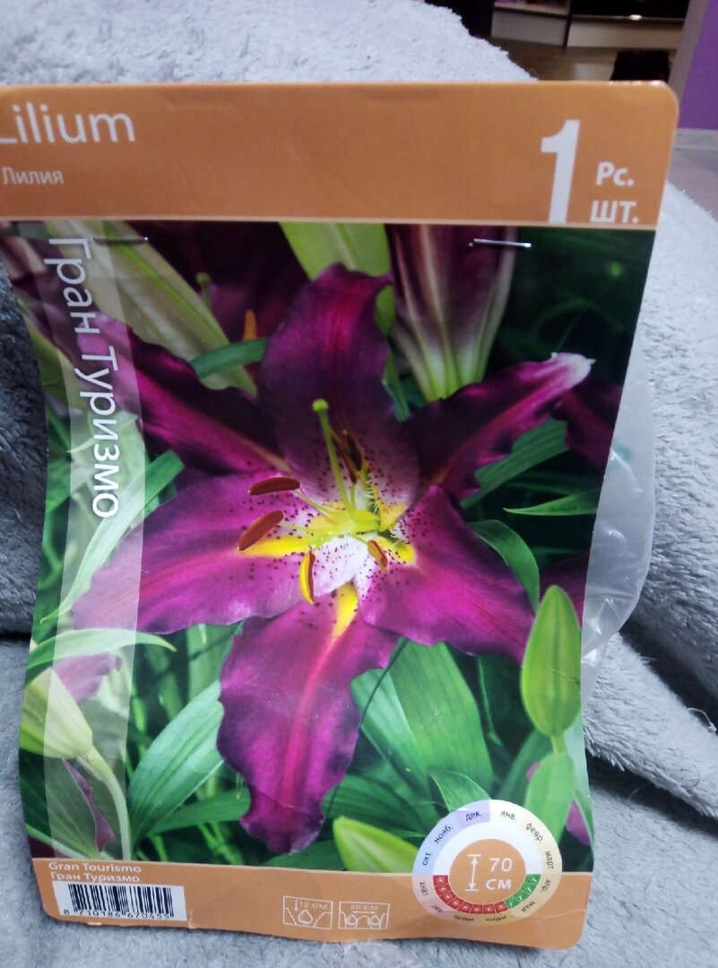 Лилия Гран Туризмо