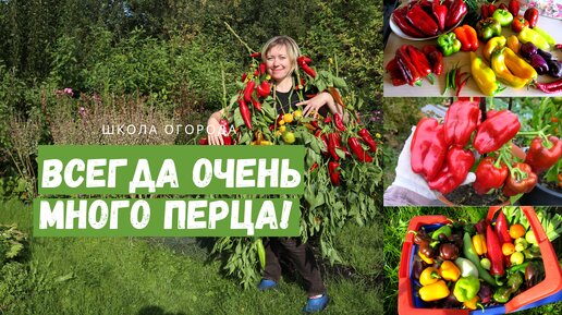 Перца будет много всегда, если соблюдать эти правила! / Выращивание перца от и до