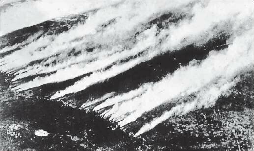 Применение химического оружия при второй битве при Ипре .