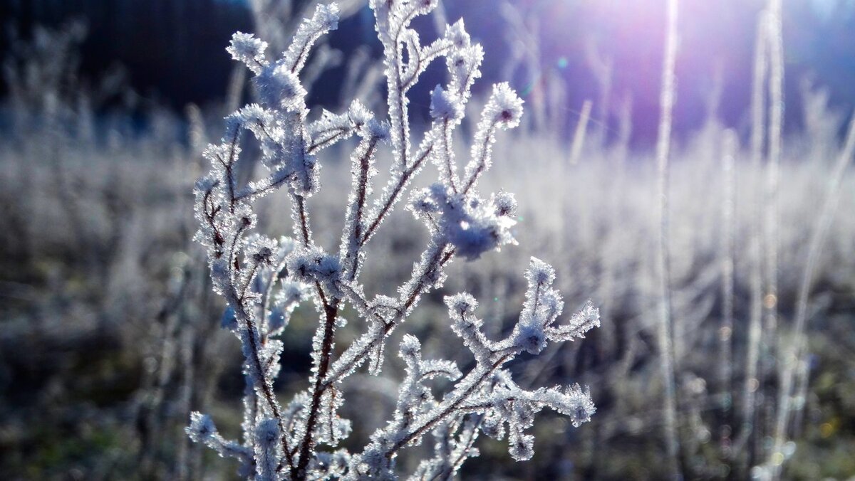 Фото: pixabay