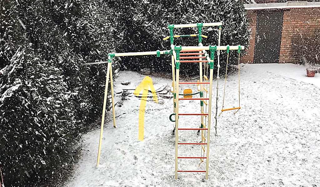 Пятый год стоят на альпийской горке