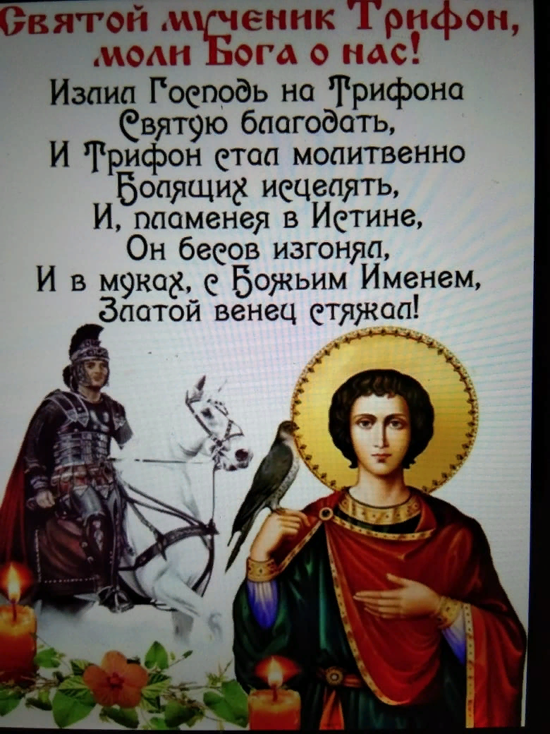 День памяти 14 святых. С праздником Святого мученика Трифона. День Святого Трифона покровителя охотников и рыболовов. 14 Февраля день охотников и рыболовов Святого Трифона.