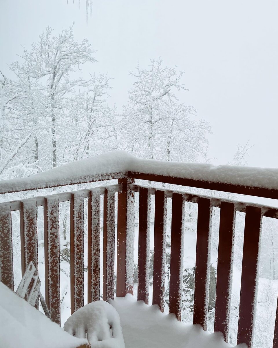 Вид с нашего балкона