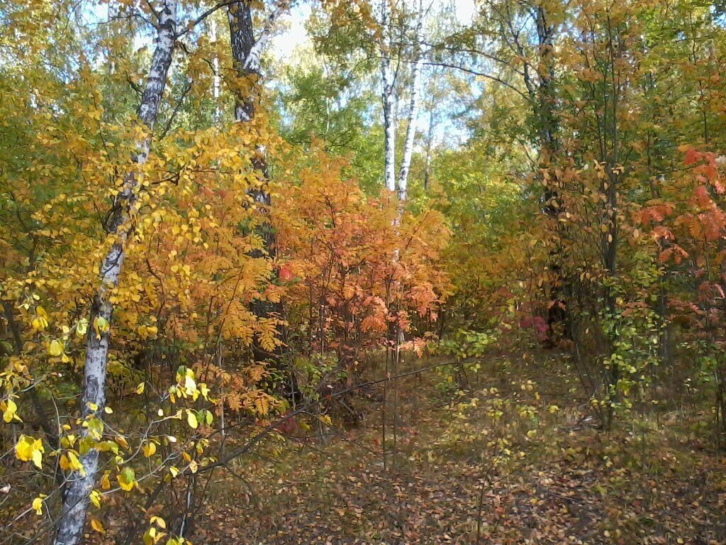 Фото автора.