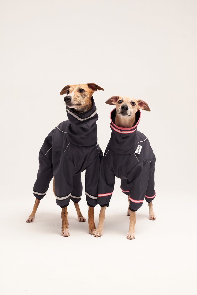 Комбинезоны WOOFLER SKYLINE SOFT Light для борзых пород