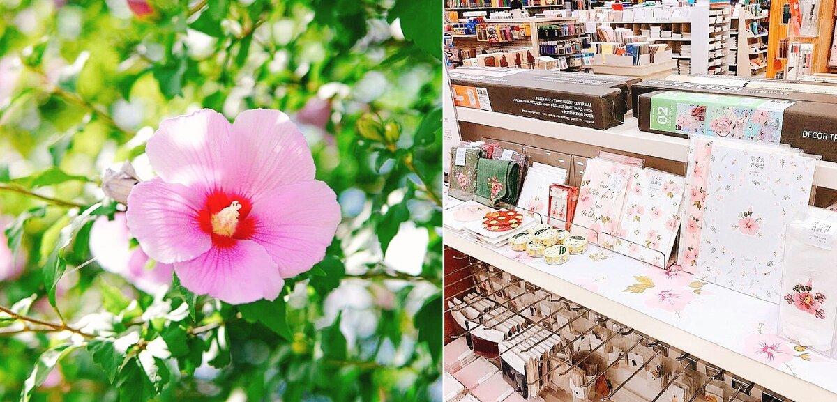 Цветок гибискуса и серия канцелярской продукции с его изображением.