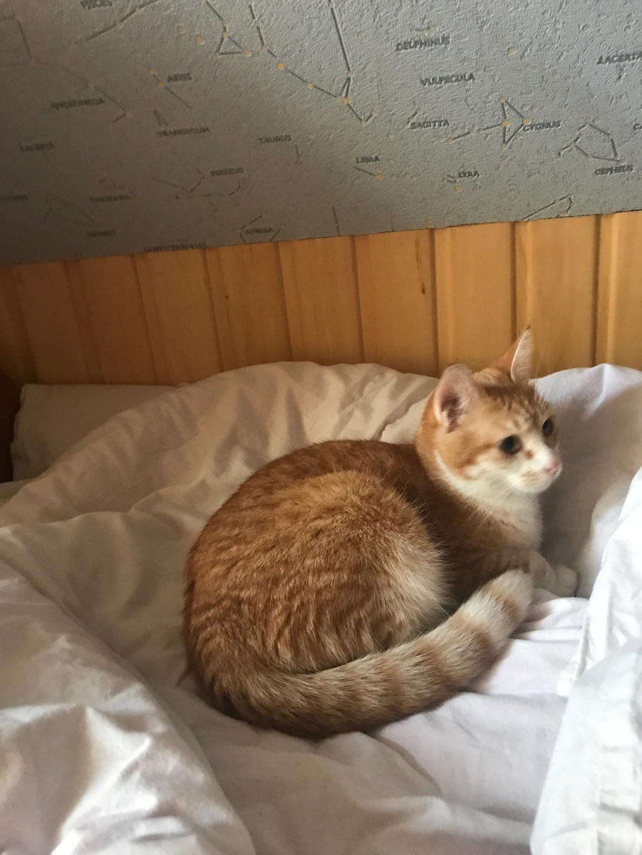 Сразу видно дикий ужас в глазах)