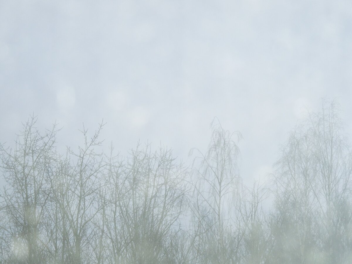 Декабрь, фото автора