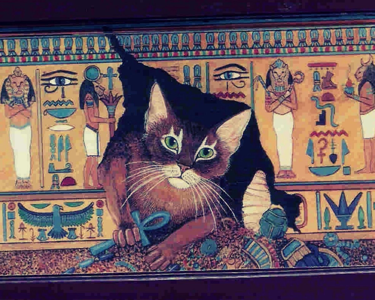Египетская кошка древних египтян