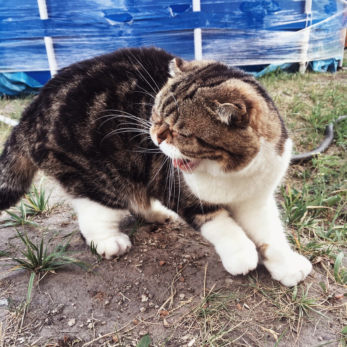 Фото из личного архива