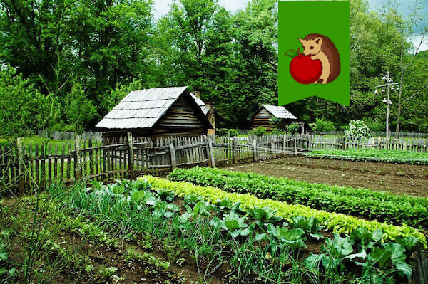 Фото: https://i1.wp.com/ecology-of.ru/wp-content/uploads/2015/09/Ogorod.jpg