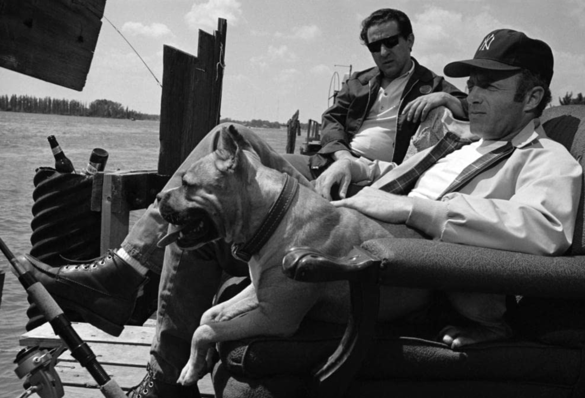 Джо Грифази и Джеймс Каан в фильме «Скрой у всех на виду»