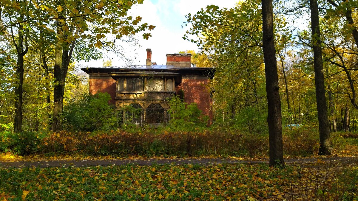 Жилой дом рядом с главным зданием Лесотехнического университета.