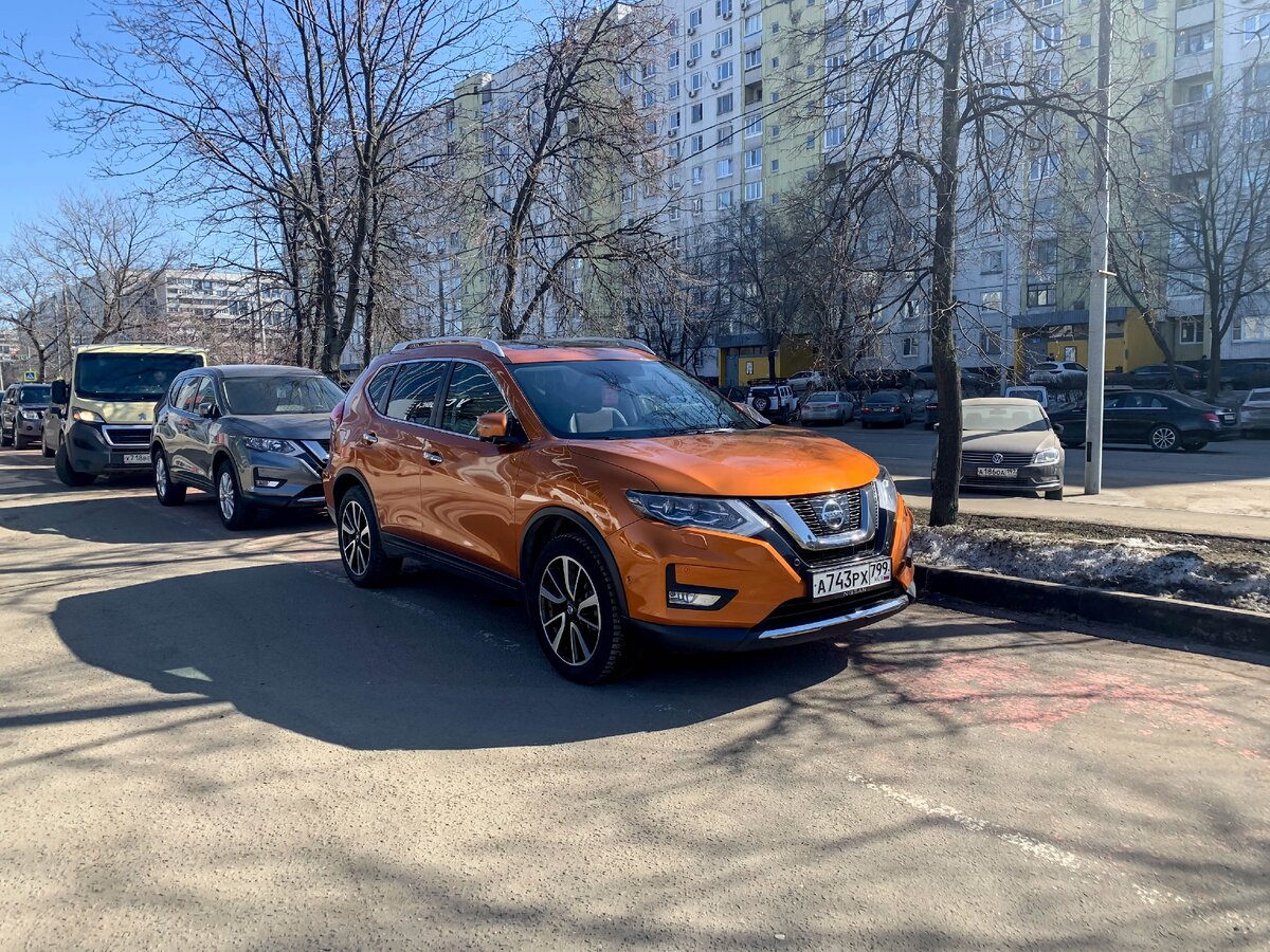 В солнечный день оранжевый цвет выглядит особенно сочно!