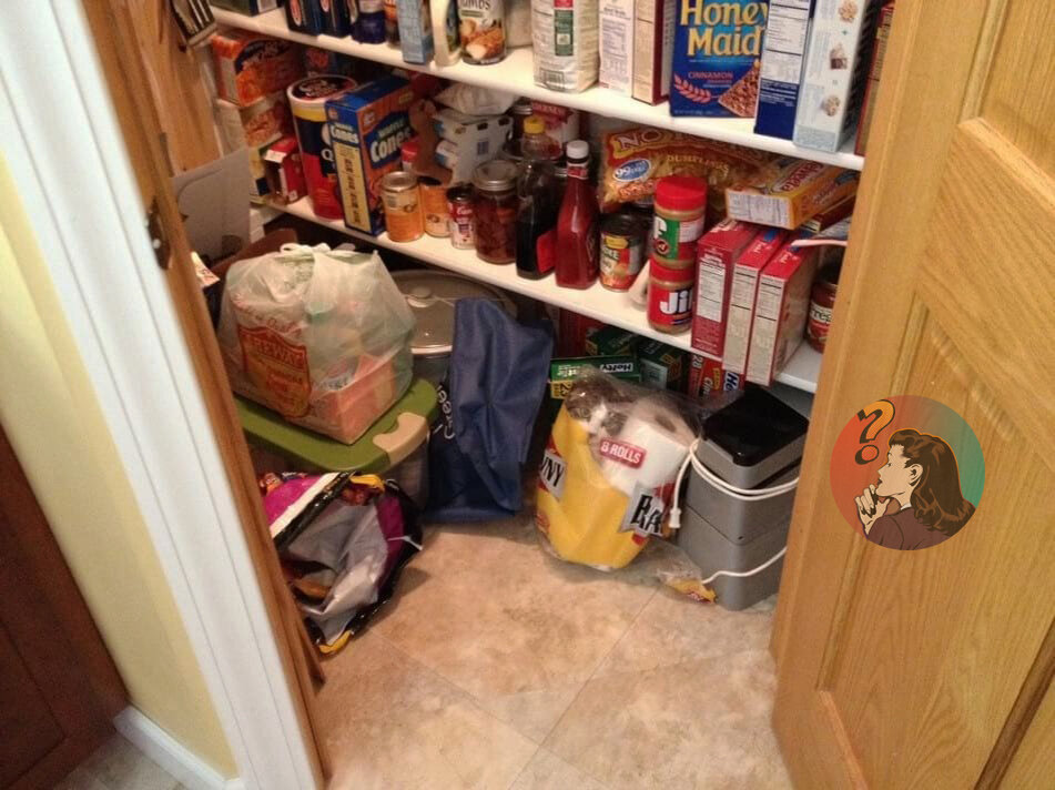 Найди кота на картинке. Найди кота в дровах. Как найти кота в доме. Найди кота в дровах. Кошка в квартире.